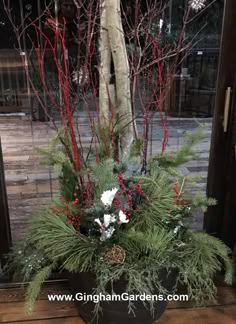 a potted plant with red and white flowers on the ground next to a tree