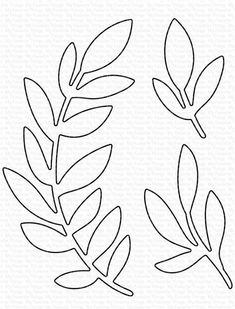 the silhouettes of two leaves are shown in black and white, one is drawn on paper