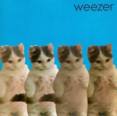 four cats sitting in front of a blue background with the words weezer on it