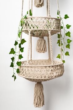 a macrame plant hanger with ivy growing on it