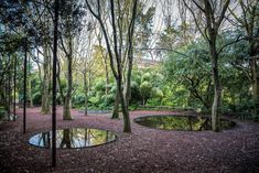 a pond surrounded by trees in the middle of a park with lots of leaves on the ground