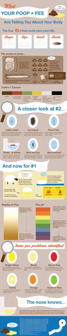 info graphic about poop and pee. actually really interesting and my kids found it very educational. Timeline Project, Diagram Template, 404 Pages, Info Board, Project Planning, Math Methods, Health Info, Health Facts, Health Products