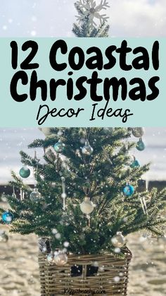 a small christmas tree in a basket with the words, 12 coastal christmas decor ideas