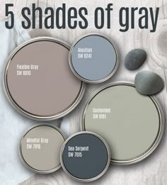 an advertisement for the 5 shades of gray paint on a wooden background with text that reads, what's next your painting project?