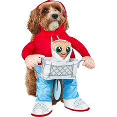 a dog dressed in a costume holding a doll