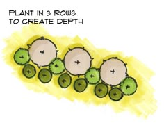 a drawing of three plants with the words plant in 3 rows to create depth on them