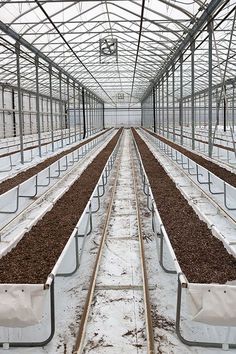 several rows of greenhouses filled with dirt and plants