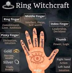 The Celtic Sage Grey Wolf Ring Finger Meaning, Witchy Recipes, Finger Meaning, Lavender Moon, Witches Fingers, Reading Tarot, Middle Finger Ring