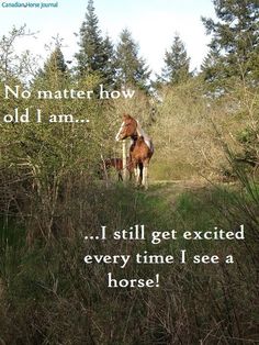 a horse standing in the middle of a field with trees and bushes behind it, saying no matter how old i am