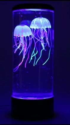 two jellyfishs glowing in the dark under a purple light