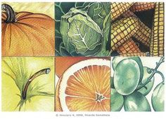 an image of vegetables and fruits in colored pencils on paper with the words, what is it?