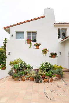 a white house with potted plants in front of it