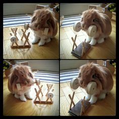 four pictures of a rabbit playing with toys