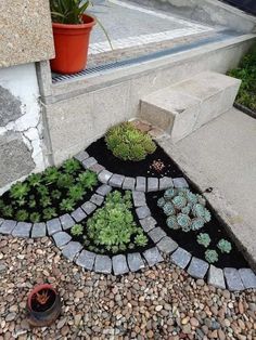 there is a small garden in front of the house with succulents and rocks