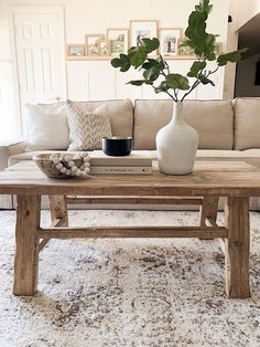 a living room with a couch, coffee table and potted plant on top of it