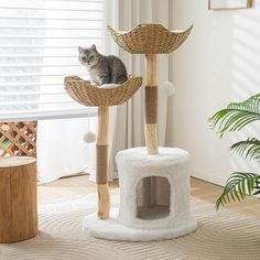 a cat sitting on top of a scratching tower