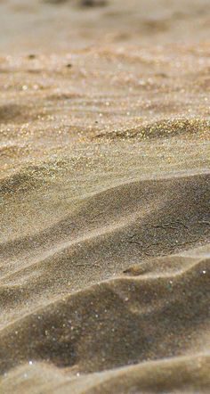 a bird standing on top of a sandy beach