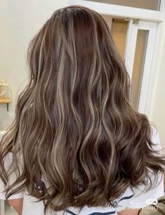 Haircolor Ideas For Dark Brown Hair, Toasted Blonde Balayage, Cute Hair Dyes For Brunettes, Layers Hair With Highlights, Dark Brown Hair With Ash Brown Lowlights, Dark Brown Hair With Milk Tea Highlights, Bollyarge Hair, Hairdye Ideas Long Hair, Short Asian Hair Highlights