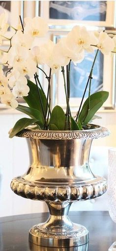 white flowers in a silver vase on a table