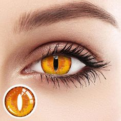 Yellow Cat Eye Contacts, Snake Eye Contact Lenses, Orange Contact Lenses, Dragon Eye Contacts, Gold Eye Contacts, Orange Eye Contacts, Orange Contacts, Felix Outfit