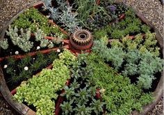 an image of a wheel planter filled with plants