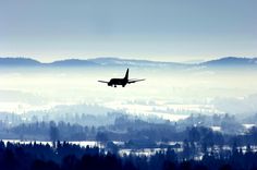 an airplane is flying low over the trees