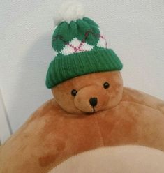 a brown teddy bear wearing a green and white knitted hat on top of it's back