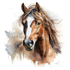 a painting of a brown horse with long hair on it's face and head