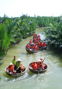 several people in small boats traveling down a river with palm trees on both sides and green foliage behind them