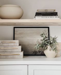 a shelf with some books and a potted plant sitting on top of it,