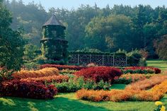 a garden filled with lots of colorful flowers and trees