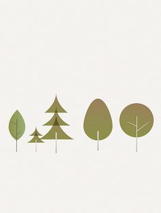 four trees are shown in different shades of green, brown and beige on a white background