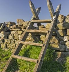 an old wooden ladder leaning against a stone wall with grass growing on the ground below