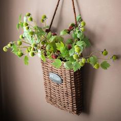 a wicker basket hanging on the wall with green plants in it and a plaque that says,