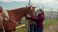 a man and woman standing next to a brown horse near a fenced in area