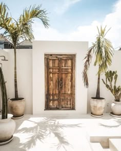 an outdoor area with potted plants and a wooden door in the center, surrounded by palm trees