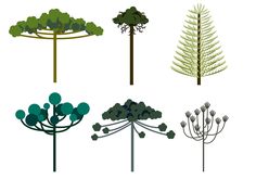 four different types of trees on a white background