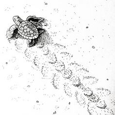 an ink drawing of a turtle swimming in the water with bubbles on it's back