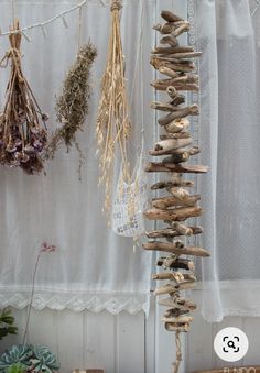 dried herbs hanging from clothes line in front of window