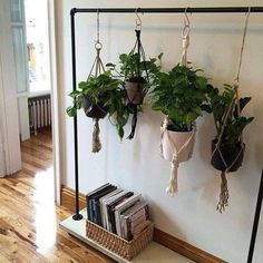 some plants are hanging on the wall