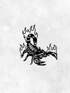 a scorpion tattoo on the back of a white shirt with black lettering and flames coming out of it