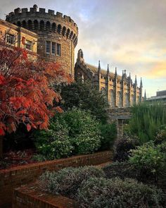 an old castle is surrounded by trees and shrubs in the foreground, with autumn foliage on the ground