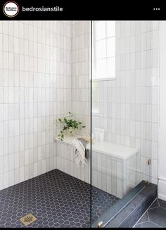 a bathroom with a glass shower door and tiled flooring, along with a plant in the corner