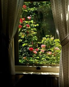 an open window with curtains and flowers in front of it, looking out onto the garden