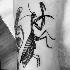 a black and white photo of an insect on the arm