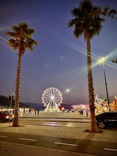 palm trees and ferris wheel at night on the boardwalk in front of an amusement park