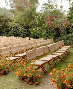 rows of wooden chairs sitting on top of a lush green field filled with orange flowers