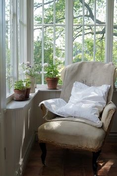 a chair sitting in front of a window filled with potted plants