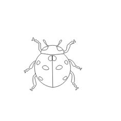 the outline of a ladybug on a white background