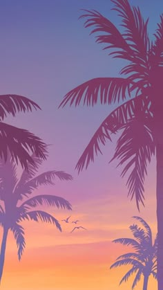 palm trees are silhouetted against an orange and blue sky